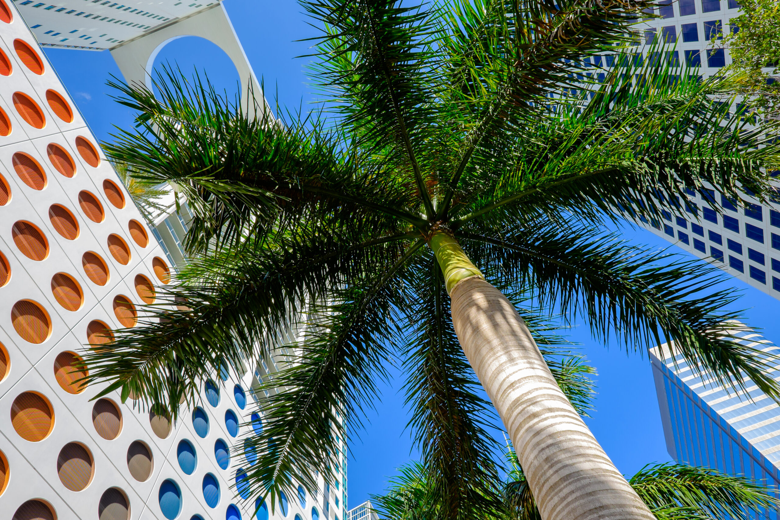 Skyward,view,of,the,brickell,area,in,downtown,miami.